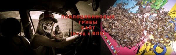 прущие грибы Алексеевка
