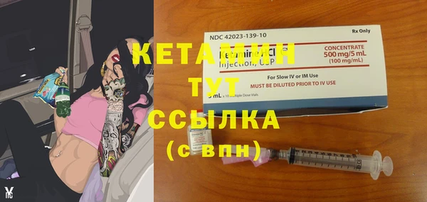 стаф Алексин