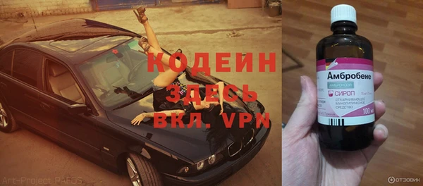 прущие грибы Алексеевка
