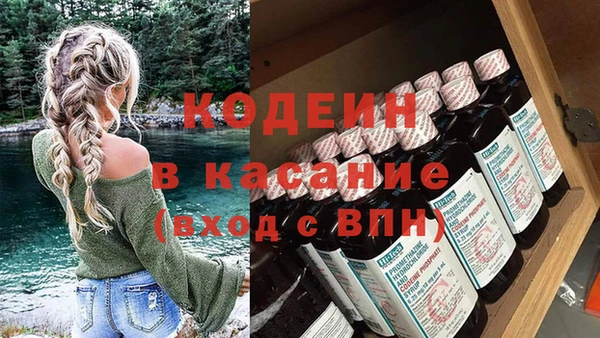 прущие грибы Алексеевка