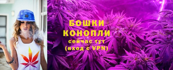 бошки Алзамай