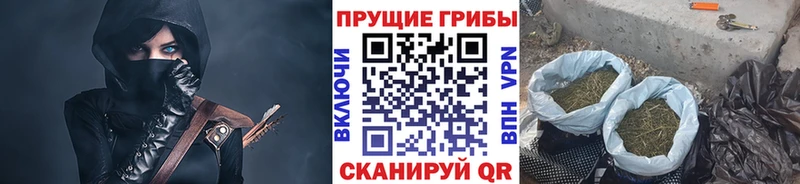 ссылка на мегу рабочий сайт  нарко площадка телеграм  Петрозаводск  Псилоцибиновые грибы Psilocybe  купить наркоту 