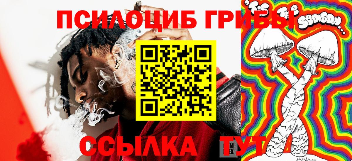Галлюциногенные грибы Psilocybe Петрозаводск