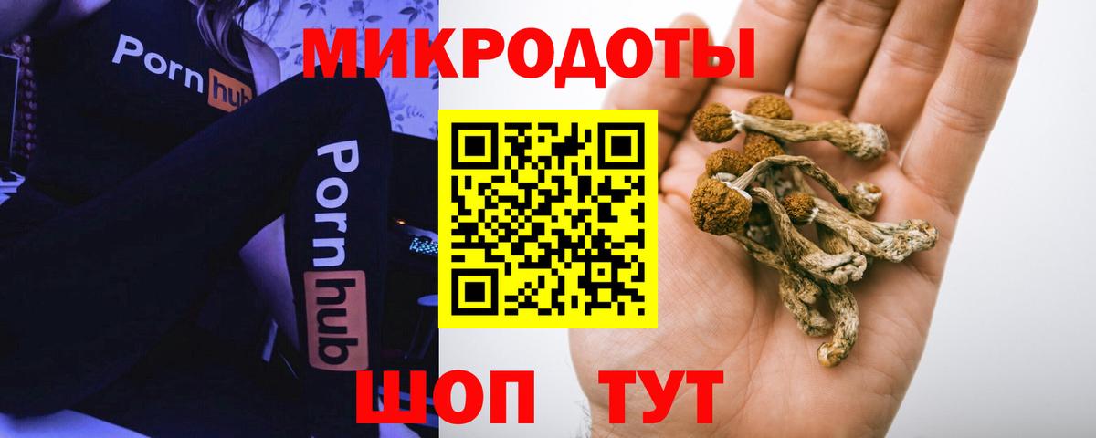 Петрозаводск  Псилоцибиновые грибы Psilocybe  Галлюциногенные грибы Psilocybine cubensis  Вход с VPN 